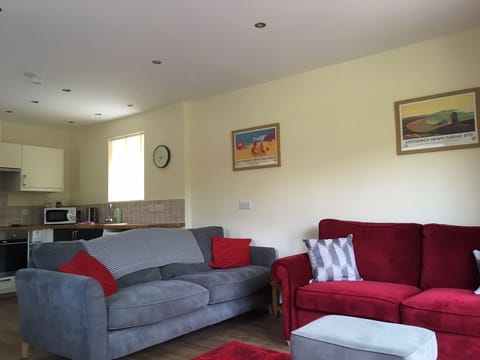 Open plan living - full size doubel sofa bed