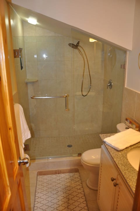 Combined shower/tub, hair dryer, towels, soap