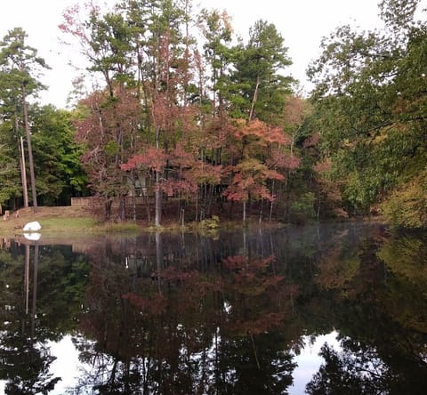 Lake during the fall 