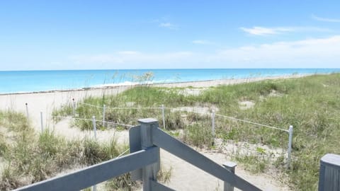 On the beach, sun loungers, beach towels