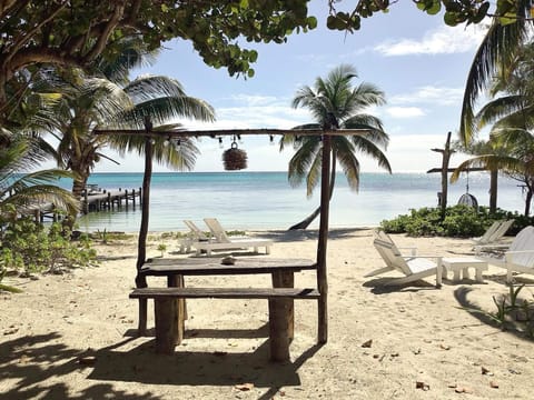 On the beach, sun loungers, beach towels