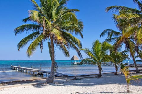 On the beach, sun loungers, beach towels