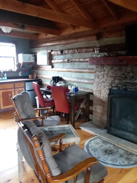View of fireplace, and kitchen area