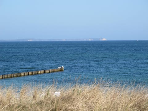 Beach nearby, sun loungers