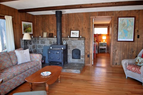 TV, fireplace, books