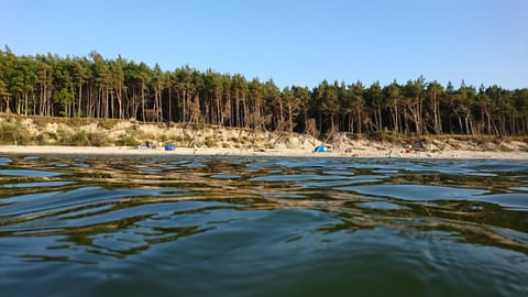 Beach nearby, sun loungers