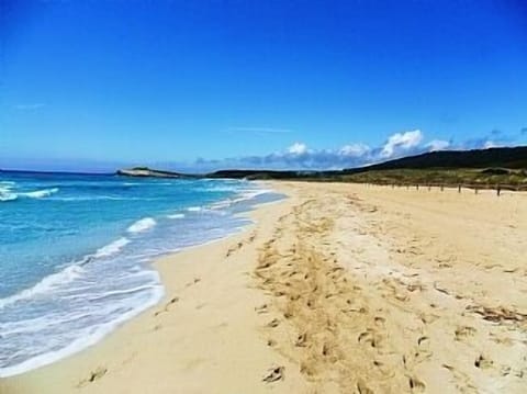 Beach nearby, sun loungers