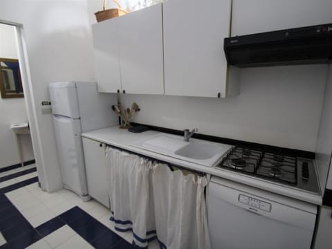 Fridge, oven, dishwasher, cookware/dishes/utensils