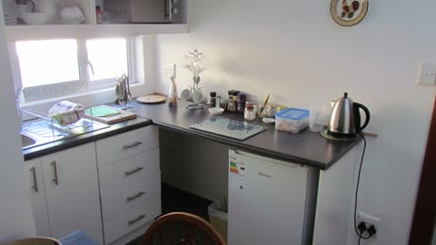 Private kitchen | Fridge, microwave, cookware/dishes/utensils