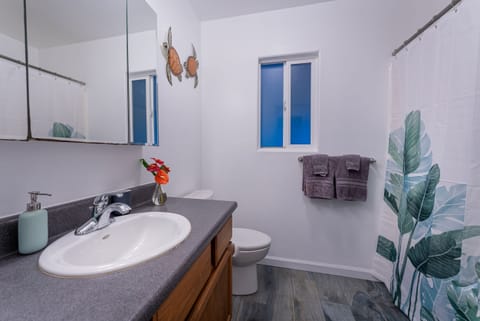 Combined shower/tub, hair dryer, towels, soap