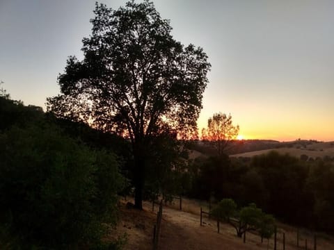 The most amazing sunsets from anywhere on the property.