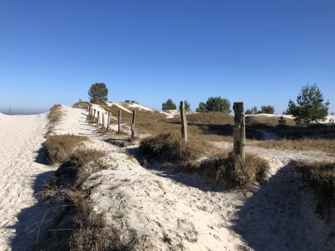 Beach nearby, sun loungers