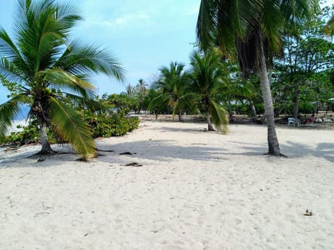 On the beach, sun loungers