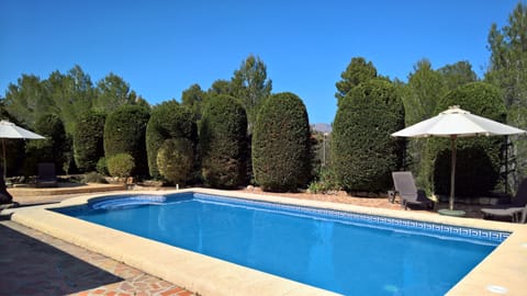 Large private pool