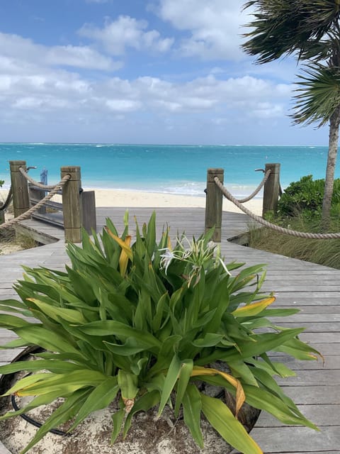 On the beach, sun loungers, beach towels