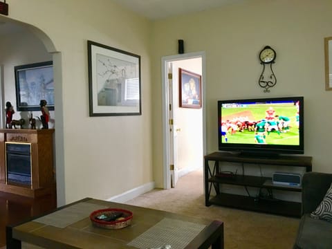 Smart TV, fireplace, DVD player, video library