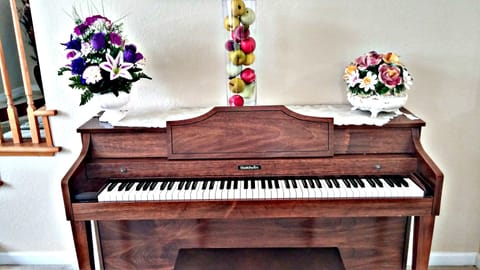 Grand Executive Luxury Home