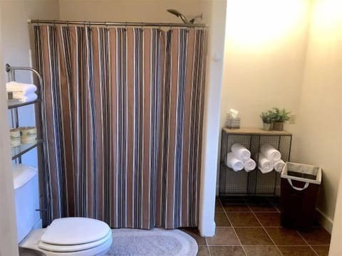 Combined shower/tub, hair dryer, towels