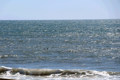 On the beach