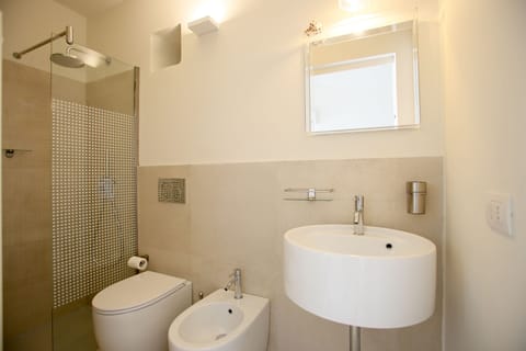 Combined shower/tub, hair dryer, bidet, towels