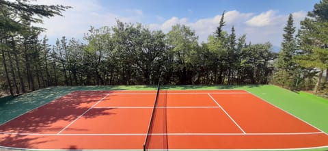 Sport court