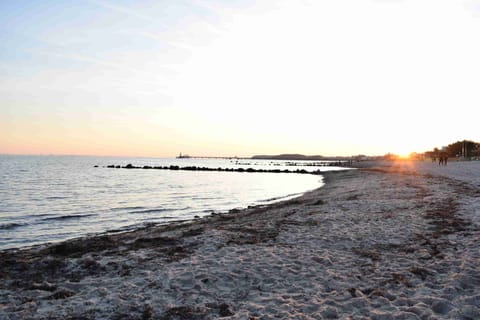 Beach nearby, sun loungers