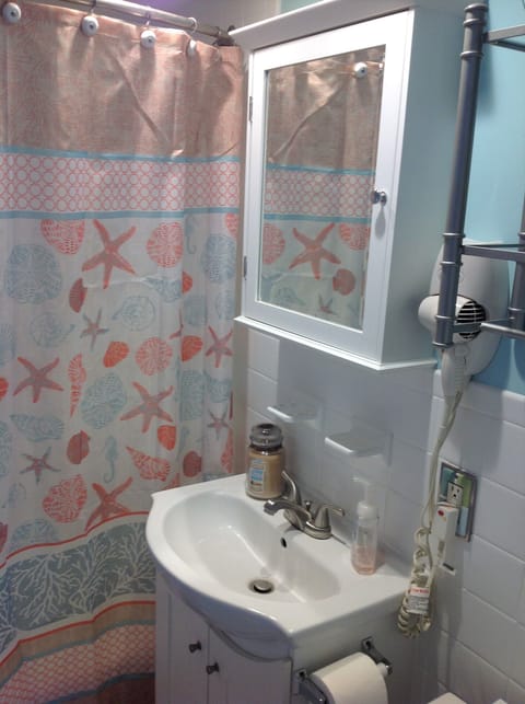 Combined shower/tub, hair dryer