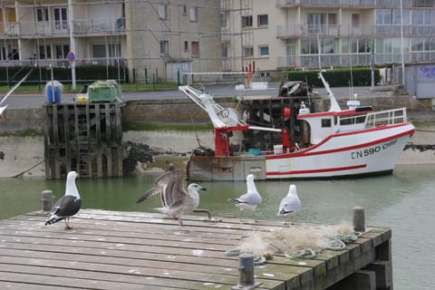 Apartment with terrace close to the port, the city center and the beach Apartment in Courseulles-sur-Mer