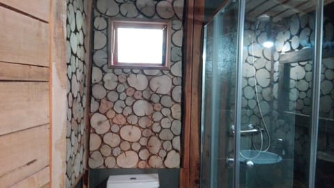 Combined shower/tub