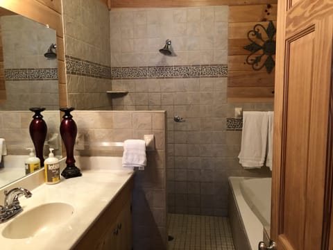 Combined shower/tub, hair dryer, towels