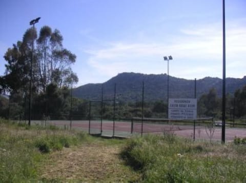 Sport court