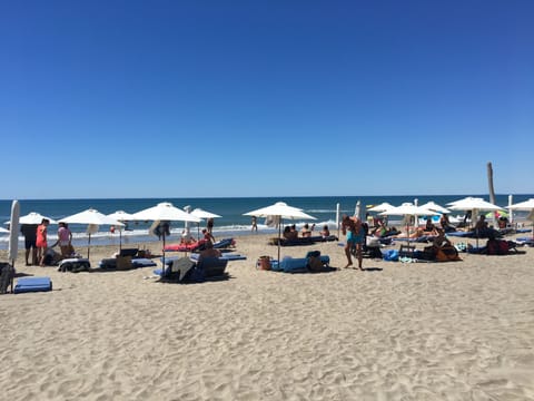 On the beach, sun loungers