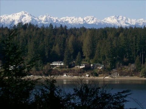 Puget Sound and the Olympics from 100 feet west of Island Magic's front door
