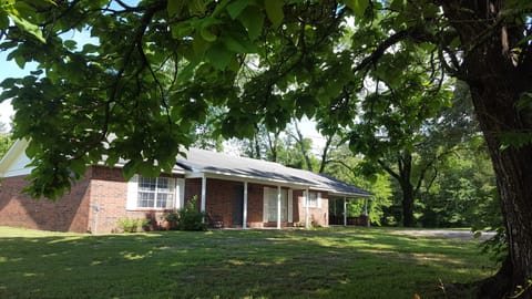 Under the catalpa tree.