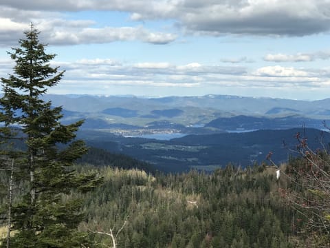 East View -  Coeur d'alene, Idaho 
