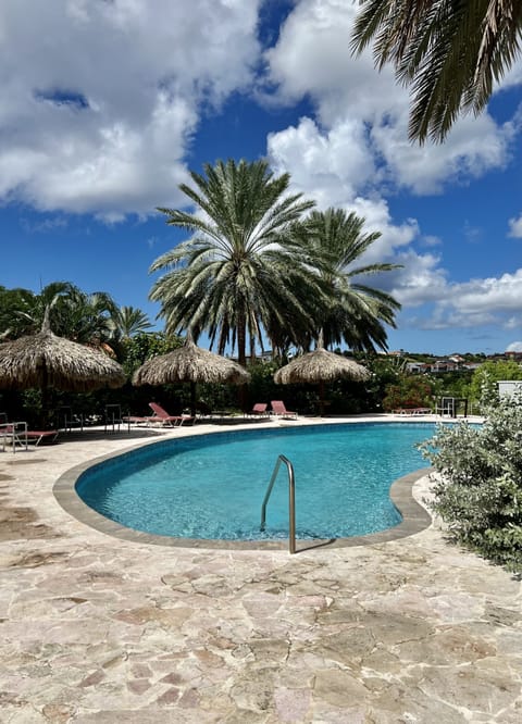 Outdoor pool, sun loungers