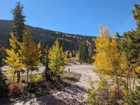 Enjoy beautiful scenery year round #fall