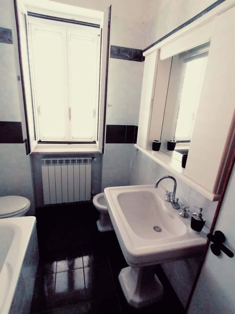 Combined shower/tub, hair dryer, bidet