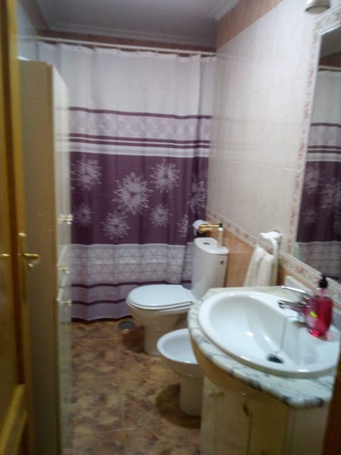 Bathtub, bidet, towels, soap