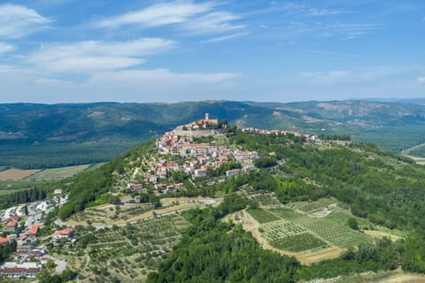 Region [summer] (&gt;5 km)