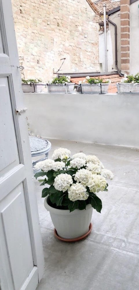 Umberty house manor house in the historic center House in Veneto