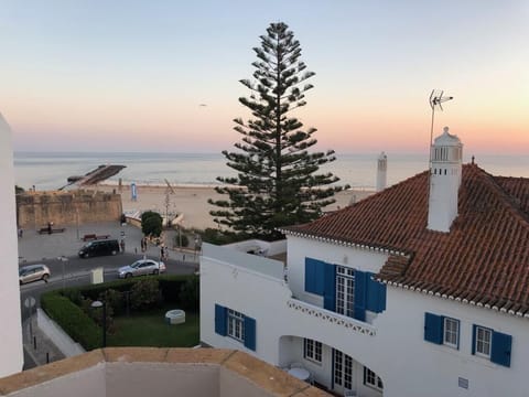 Beach/ocean view