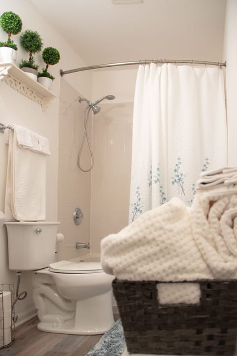 Combined shower/tub, hair dryer, towels, soap