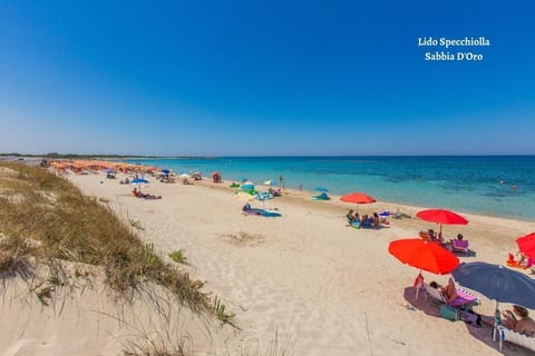 Beach nearby, sun loungers