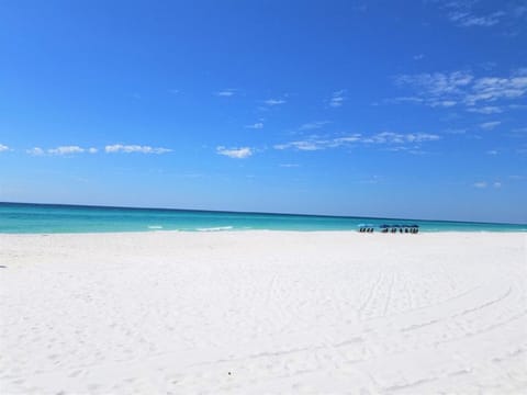 On the beach