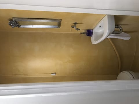 Combined shower/tub, hair dryer, towels