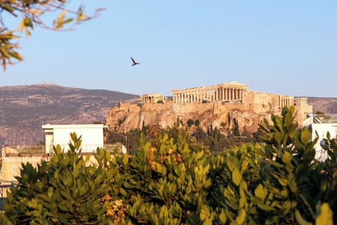 At the scent of bay leaves....