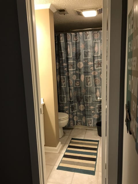 Combined shower/tub, hair dryer, towels, soap