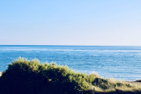 On the beach, sun loungers