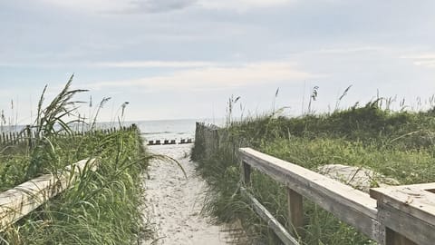 On the beach